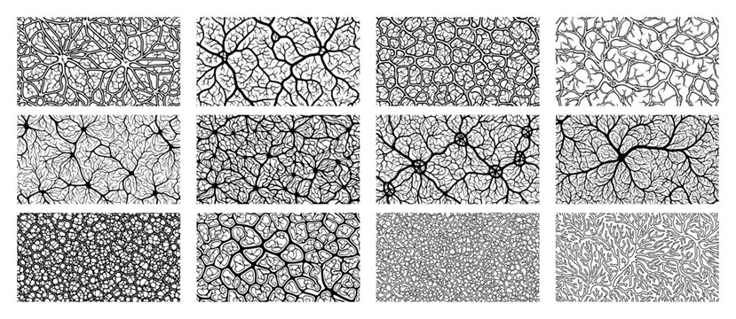 Set of twelve organic growth patterns resembling veins roots or neural networks in black and white vector line art