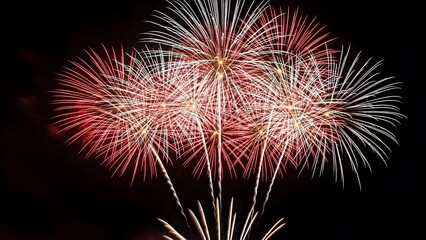 Vibrant fireworks exploding in night sky with red and white sparks