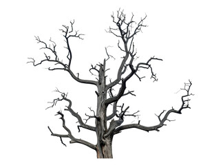 A dark gray tree silhouette with gnarled branches on a black background