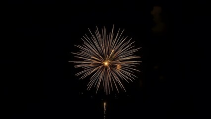 Obraz premium Vibrant fireworks explosion in night sky with bright golden sparks