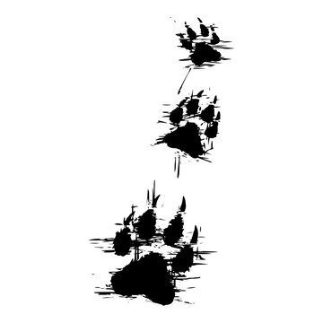 Wild animal paw prints walking trail silhouette vector illustration
