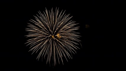 Fototapeta premium Vibrant golden fireworks exploding in dark night sky