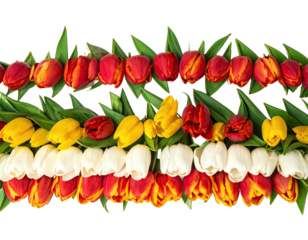 A vibrant, horizontal floral arrangement featuring multiple rows of tulips in various colors