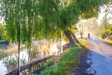 Walk in the marshes in the city of Bourges - France