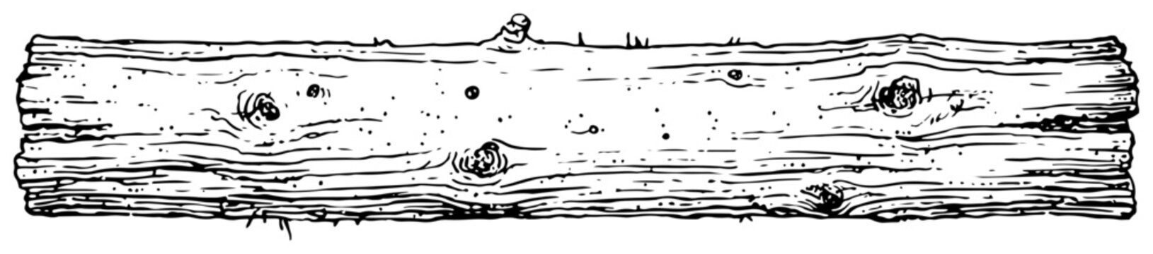 Horizontal wooden log with bark texture and knots in sketch style