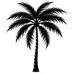 Sleek Black Silhouette of a Tall, Slender Palm Tree on White Background, Vector