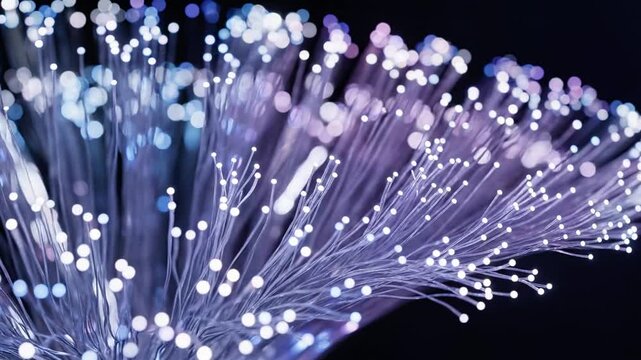 A close-up view of a bundle of thin, translucent fibers with glowing white and purple tips against a dark background