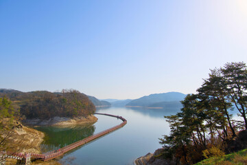A pine tree under the blue sky and a bridge connected somewhere with a distant river