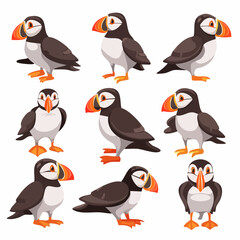 Obraz premium Set of atlantic puffin bird in different poses cartoon animal design flat vector illustration isolated on white background