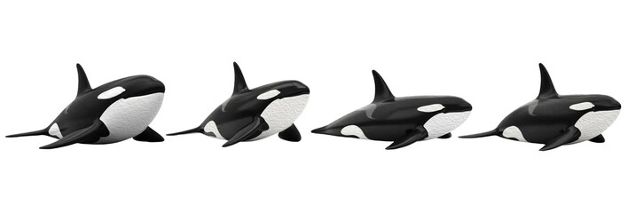 Set/Collection of Orcas (Killer Whales), Majestic and Realistic Whale Illustrations, Isolated on Transparent PNG Background Oil Paint © ibrahim