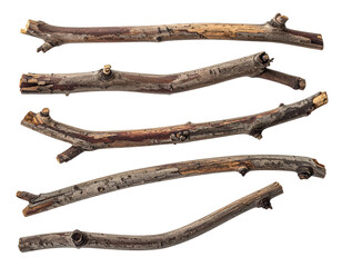 Obraz premium Several weathered tree branches of varying shapes, sizes, and colors, isolated on a black background