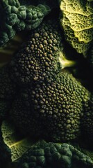 Close-up view of a vegetable's textured surface.