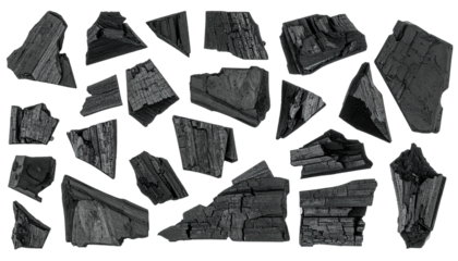 A collection of irregularly-shaped, charred pieces of wood scattered over a black background