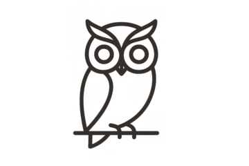 Owl icon representing wisdom, education, and knowledge, a nocturnal bird character or mascot with a simple line art design