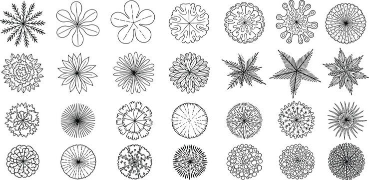 Diverse collection of line art tree and plant top view illustrations, perfect for architectural drawings, landscape design plans, and botanical vector elements for professional projects