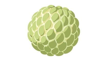 Fototapeta premium Exotic green sugar apple illustration vector art showcasing tropical fruit's unique texture and vibrant color for healthy living designs and organic