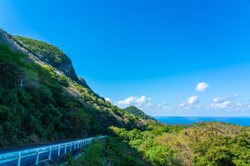 坊主森付近より古宇利島を望む