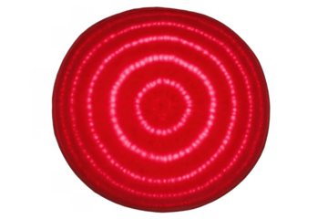 Red beetroot slice displaying vibrant circular patterns and natural texture on transparent background