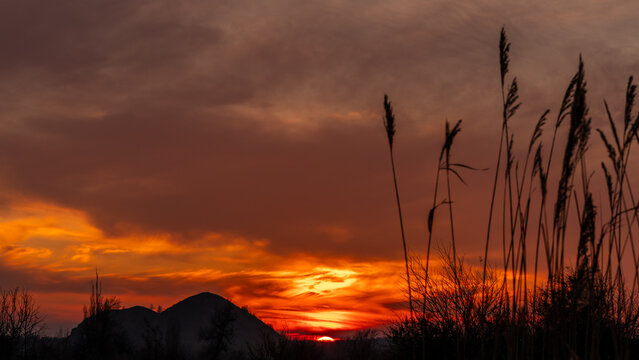 silhouette of Mining Spoil Heaps at Sunset in Steppe Landscape