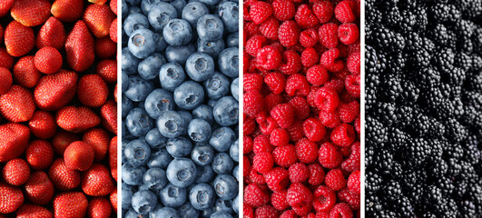 Collage of different fresh berries. Strawberries, blueberries, raspberries and blackberries © New Africa