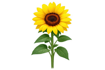 Fototapeta premium Sunflower with vibrant yellow petals and green leaves on stem, symbolizing nature, growth, and summer, transparent background