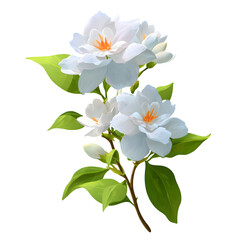 Fototapeta premium Elegant White Flowers with Orange Center on a Leafy Green Stem