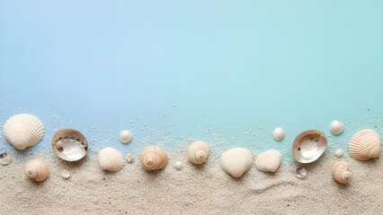 seashells on the beach