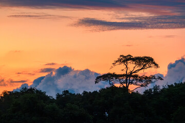 Sunset on the Kanabatangan River, Sabah, Borneo, Malaysia