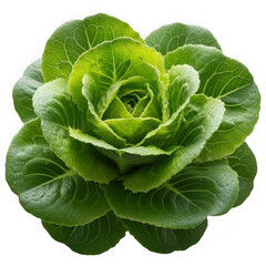 Obraz premium Fresh green lettuce isolated on transparent background