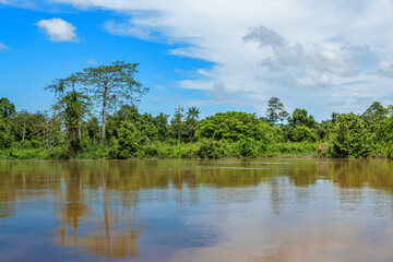 Scenary on the Kanabatangan River, Sabah, Borneo, Malaysia