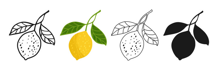 Lemon symbol cartoon set. Citrus lemon branch with leaves linear doodle icon or silhouette shadow collection. Juicy stylized abstract lemons sign fruits hand drawn vector illustration white background