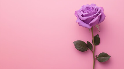 Fototapeta premium purple flower in a pink backgroud, flower in horizontal layout banner with copy space, generative ai 
