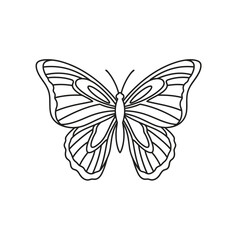 Fototapeta premium butterfly vector illustration