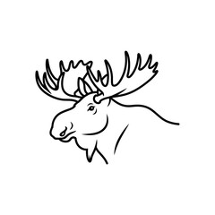 Fototapeta premium moose-with-large-antlers-silhou