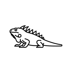 Fototapeta premium iguana-dengan-garis-punggung-berduri.