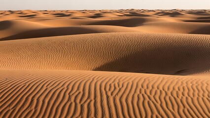 Naklejka premium Scenic View of Vast Desert Landscape with Undulating Sand Dunes, Featuring Intricate Ripple Patterns and Striking Shadows Under Golden Hour Sunlight.