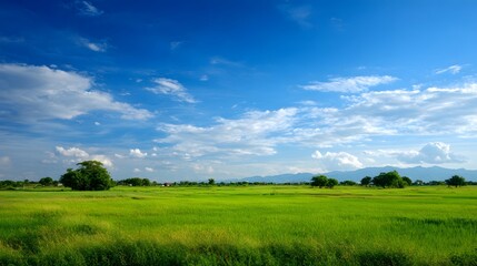 Fototapeta premium Lush Green Field Under a Bright Blue Sky with Clouds.