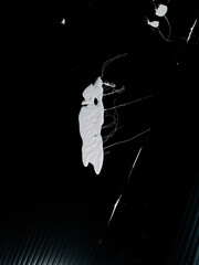 Abstract White Shape on Dark Background Featuring Unique Texture