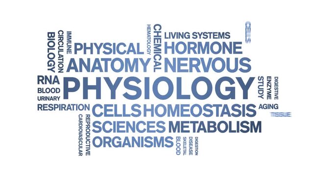 Physiology animated word cloud-text design animation tag kinetic typography seamless loop.