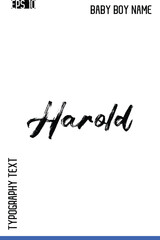 Fototapeta premium Harold -Trendy Baby Boy Names Vector Hand Drawn Brush Grunge Calligraphy Lettering