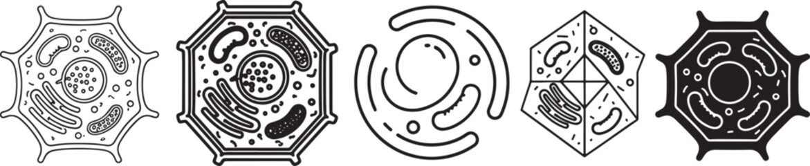 Plant Cell Anatomy and Structure Diagram Icon Set for Biological Science Education High School Learning Medical Research and Laboratory Study Design