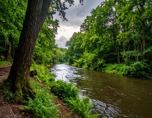 Serene river flows through lush green forest under cloudy sky