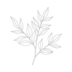 Naklejka premium Delicate Branch with Elongated Leaves in Minimalist Line Art.