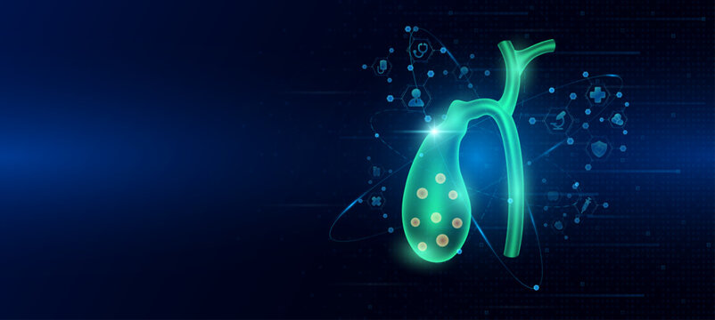 Health care medical. Human gallbladder organ hologram transparent in the ring line with icon digital medical technology. On dark blue background. Science banner vector.
