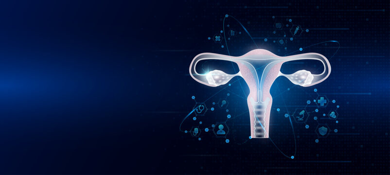 Health care medical. Human uterus organ hologram transparent in the ring line with icon digital medical technology. On dark blue background. Science banner vector.