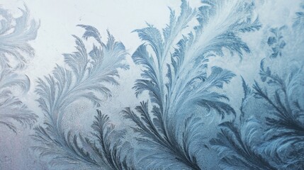 Intricate Ice Crystal Ferns Forming on Cold Windowpane, Abstract Winter Patterns of Frost, Cold Weather Beauty, Glass Art.