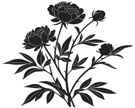 Black Peony Flowers Silhouette Vector Clipart Bouquet Floral Illustration Line Art