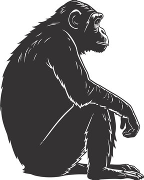 Black Chimpanzee Silhouette Vector Clipart Monkey Ape Illustration Line Art