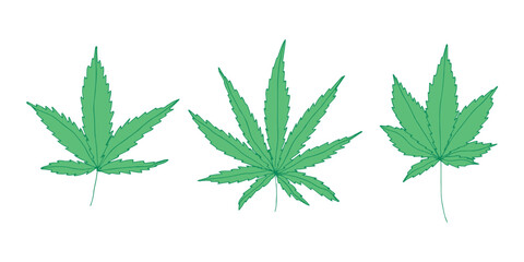 Fototapeta premium Set of hand drawn cannabis leaf Medicine marijuana Hemp leaves clipart in doodle style Single element for print, web, design, decor