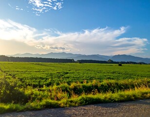Verdant field, distant mountains under a cloudy blue sky at sunset